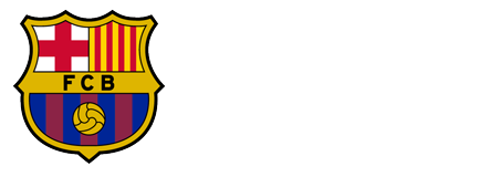 Barca Academy Puerto Rico